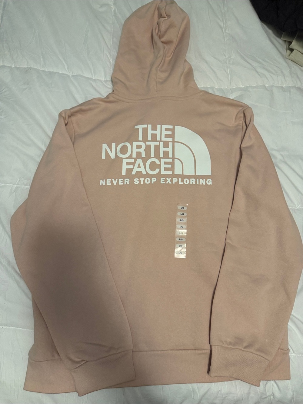 The North Face Pullover Hoodie - pink moss - Picture 3 of 5